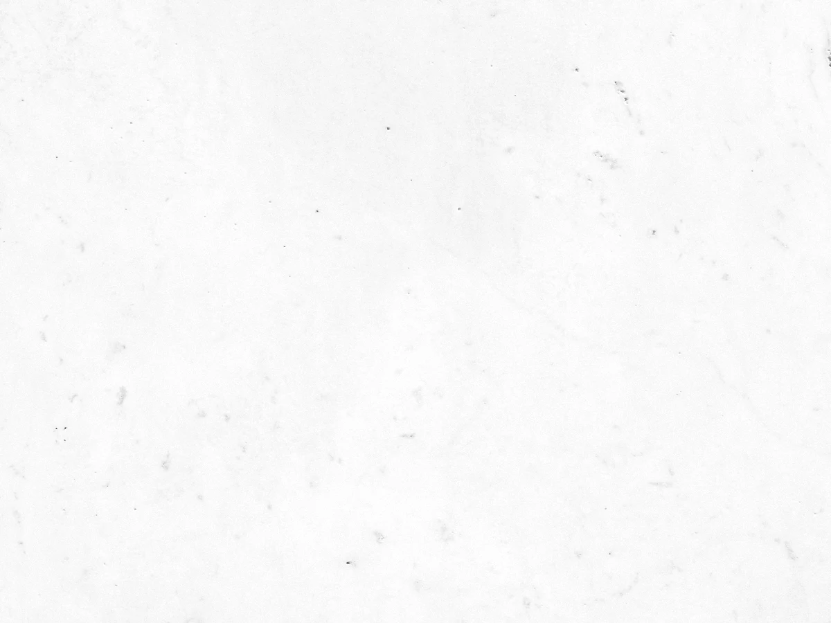 Pale sealed limestone at close range, printed achromatic with the specular return at full.